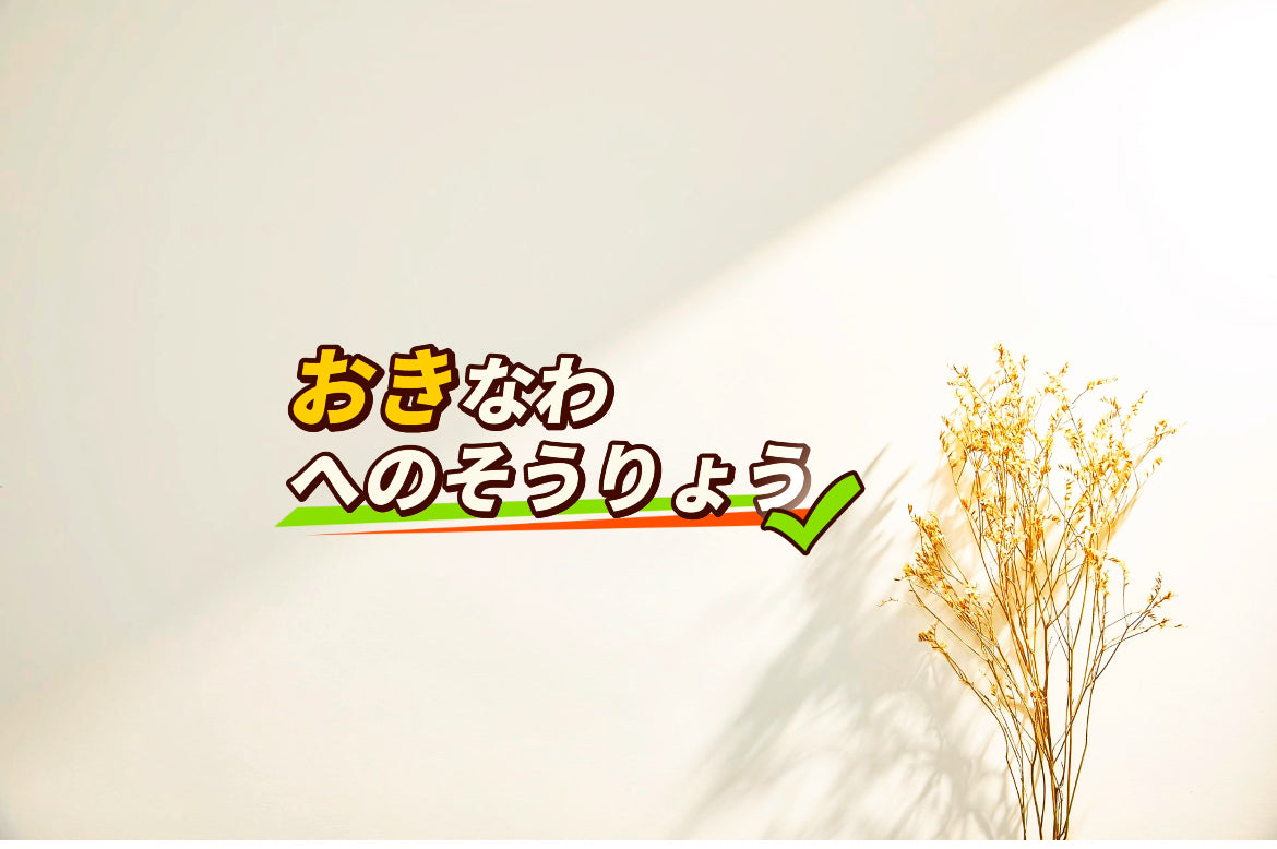 沖縄-送料 – daikonshop